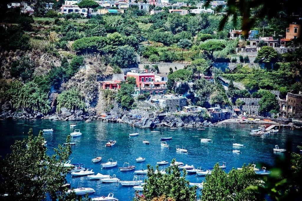 Hotel Villa Antonio Ischia Exterior photo